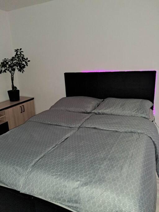 Apartament Na 4 Pietrze Nowy Targ Esterno foto