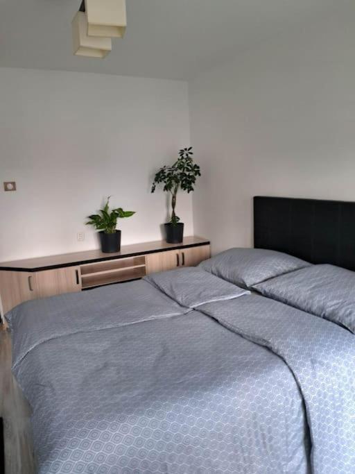Apartament Na 4 Pietrze Nowy Targ Esterno foto