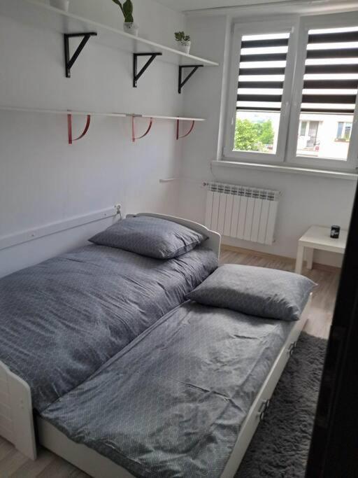 Apartament Na 4 Pietrze Nowy Targ Esterno foto